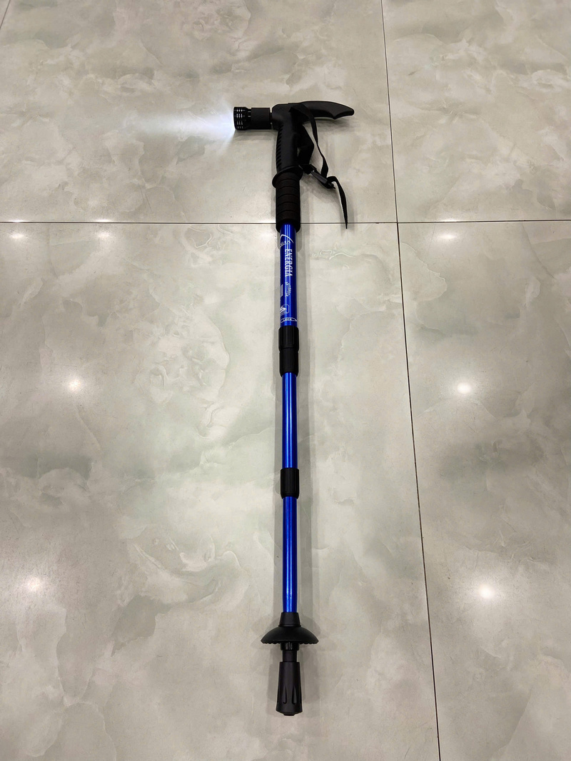 Gậy chống